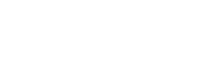 University of York logo / crest in white
