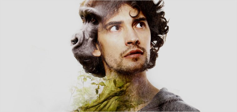 A composite image of a young man, whose hair becomes a gorilla, with jungle plants growing. Representing a career in biological sciences / zoology