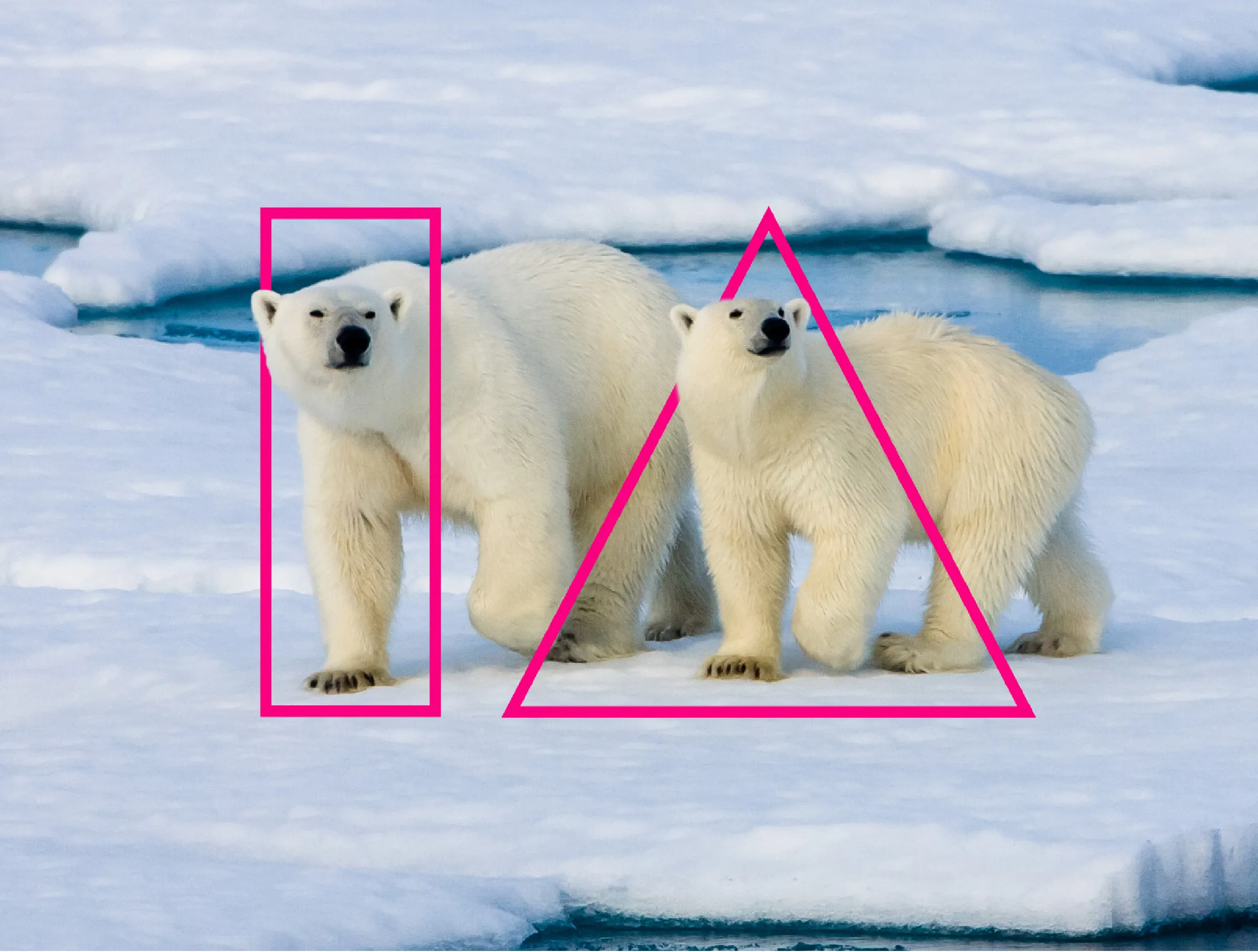 Innovation Academy logo weaved in with polar bears